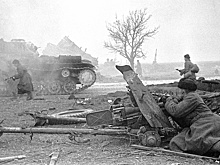 В Польше продолжают культивировать мифы об освобождении Варшавы в 1945 году