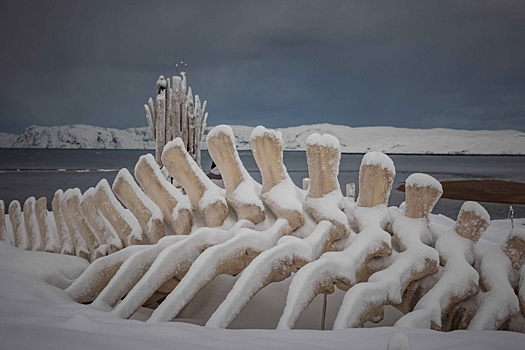 Курс на Арктику: что посмотреть и чем заняться в Мурманской области