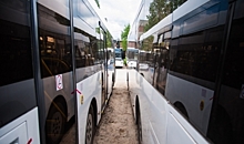 Дачные автобусы вернутся на маршруты в Волгоградской области