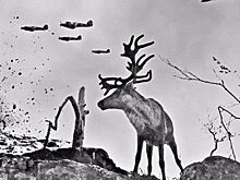 Памятник оленно-транспортным батальонам Великой Отечественной установят в Мурманске