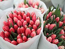 Лекции о женщинах-ученых и фестиваль цветов: где провести 8 Марта интересно и с пользой