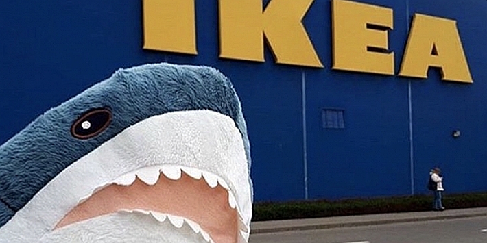 Российский рынок наводнили фальшивые «акулы из IKEA»