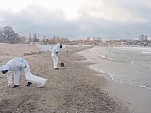 Новые выбросы мазута зафиксировали 15 февраля в Анапе