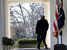 Политолог Васильев допустил хаос и протесты в США в преддверии выборов