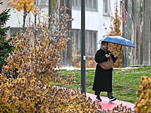 Михаил Леус: В Москву вернулись заморозки