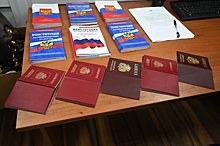 МВД: Почти 400 человек лишили гражданства РФ из-за преступлений