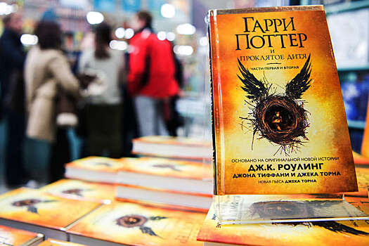 Россиянин заплатит более 22 млн рублей за подделку книг о Гарри Поттере