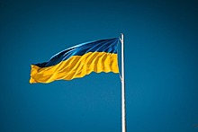 На Украине рассказали о «животном страхе» властей страны