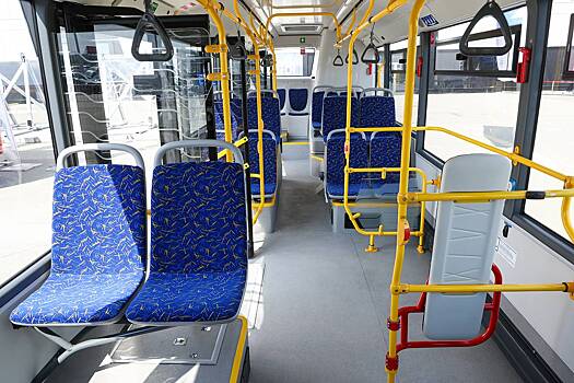 В российском городе водитель обругал выпавшего из автобуса инвалида