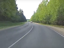 На выезде из Солотчи сняли лося на дороге