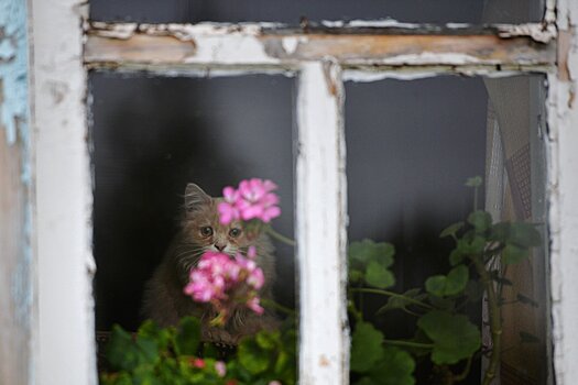 Три проблемы с ремонтом, о которых не знают покупатели жилья