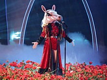 Стало известно, кто скрывался в костюме Лошади в шоу «Маска»