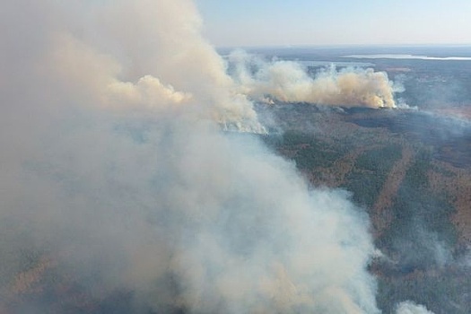 Лесной пожар около Озерска площадью 80 га потушен