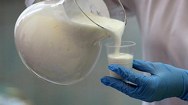 Роспотребнадзор: 6 % импортного молока является небезопасным