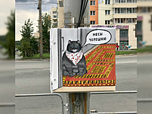 «Неси черешню»: котик из интернет-мема поселился на Тополиной аллее