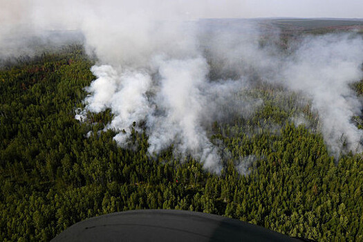 В Гидрометцентре рассказали о пожарной опасности в Сибири