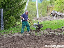 "Предупреждать надо": в Госдуме предложили смягчить закон об изъятии заброшенных участков