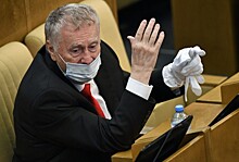 Жириновский предложил запретить выпускать россиян за рубеж