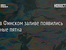 СМИ: в Финском заливе появились нефтяные пятна