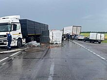Утренняя авария на Дону оказалась смертельной