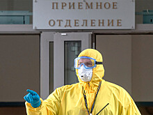 В Нидерландах не будут допускать зрителей на стадион до изобретения вакцины