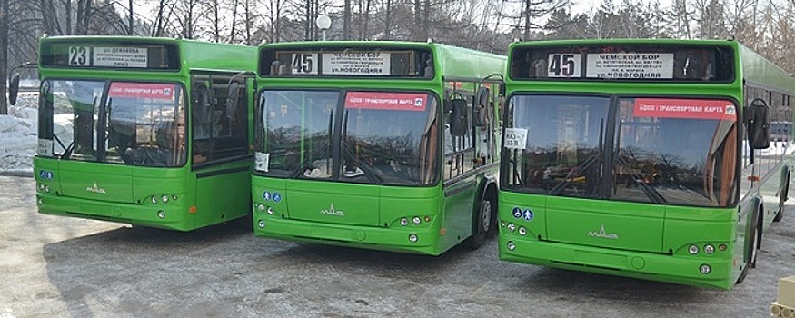 Около 200 пассажирских перевозчиков Новосибирской области получили лицензии нового образца