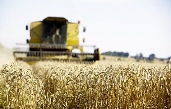 Подконтрольный ВТБ холдинг консолидировал 100% зернового трейдера