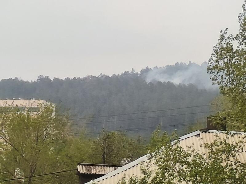 Дым заметили в лесу недалеко от Высокогорья