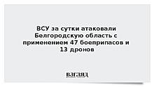 ВСУ за сутки атаковали Белгородскую область с применением 47 боеприпасов и 13 дронов