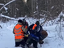 Волонтеры спасли мужчину, сутки пролежавшего в зимнем лесу в Вачском районе