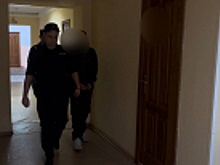 Тамбовской полицией задержан уроженец Центральной Азии, подозреваемый в соучастии в мошенничестве