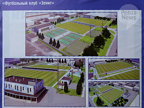Поле пензенского стадиона «Зенит» засеяли газонной травой