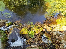 Минэкологии проверило почву у горящего полигона в Городецком округе