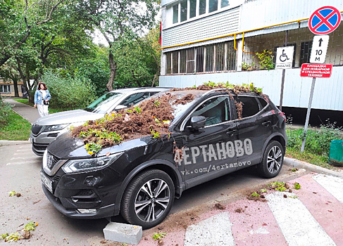 Фото «мести» московскому водителю из-за парковки разозлило россиян