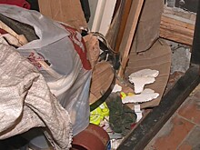 В Рязани мужчина таскает мусор в квартиру и справляет нужду в окно