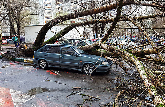 По Москве и области прошелся ураган