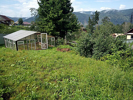 Что означает распространение «дачной амнистии» на новые объекты?