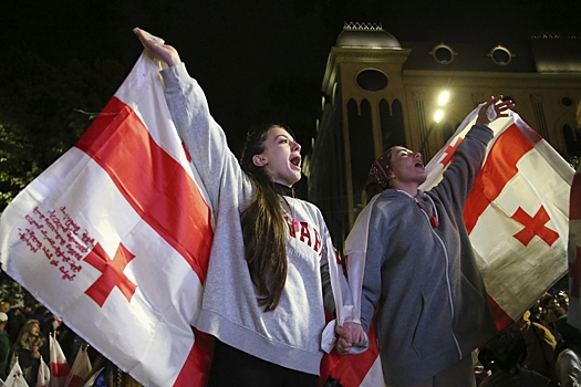 Кому заплатили за протесты в Грузии против российских спортсменов