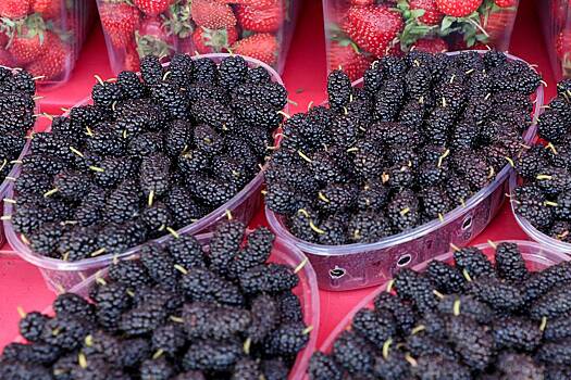 Россиян предупредили об опасности одной ягоды натощак