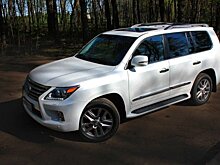 Затраты на содержание автопарка властей Татарстана превысят 45 млн рублей