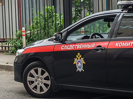 В Омске будут судить женщину, которая три месяца избивала 8-летнего сына