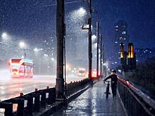 Москву зальет дождями