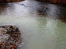 Минприроды отказалось сменить власть в неугодном УГМК уральском заповеднике