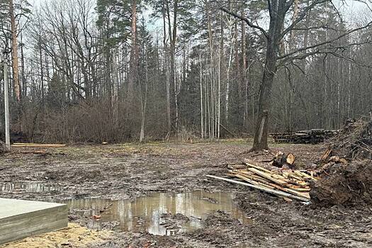 Прокуратура добилась возврата земли Сосновой рощи в муниципальную собственность