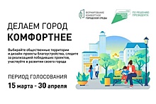 В Новосибирске пройдет день комфортного голосования