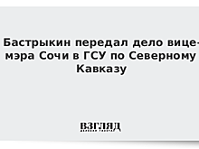 Бастрыкин передал дело вице-мэра Сочи в ГСУ по Северному Кавказу