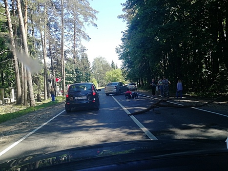 Водитель «Volkswagen» сбил пешехода в Литвиново и скрылся: поиск очевидцев ДТП