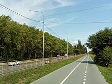 Почему в Тюмени во всём винят Путина и велосипедистов?