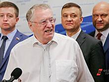 Институту Жириновского пообещали 400 миллионов на обновление