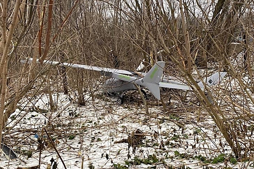 Своей цели ВСУ не достигнут: об атаках беспилотников в Беловодском районе высказался депутат Олег Иванинский